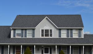 The Home Wise Pros