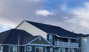 Top Dog Roofing
