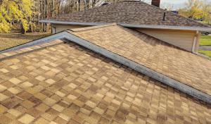 Dynamic Roofing Solutions