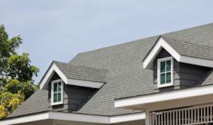 Silver Hammer Roof