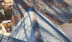 Professional Roofing Solutions