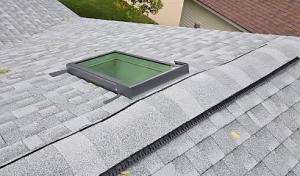 Gray Duck Roofing