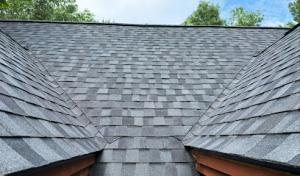Loon Roofing & Construction