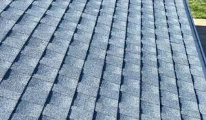 Nest Roofing