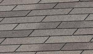 Morning Light Roof Repair