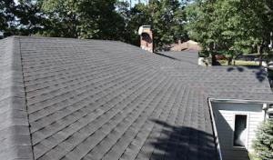 Ready Roof