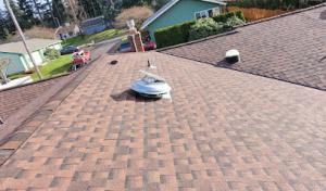 Bellevue Roof Repair