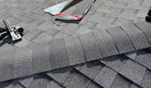 Rogers Roofing