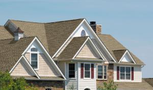 Freetail Roofing