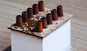 Elite Paramount Roofs