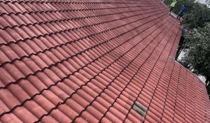 Roofer Chicks