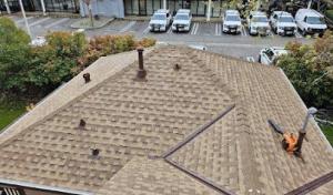Elevated Roofing