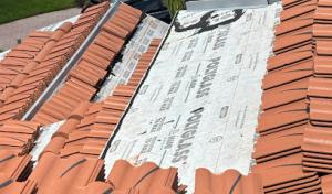 Dan the Shingle Man Roofing