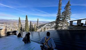 Revive Roofing & Construction