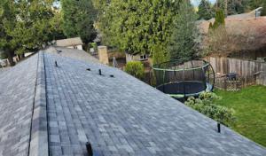 Rugged Roofing