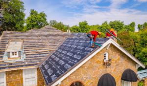 Mighty Dog Roofing