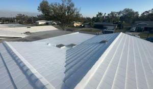 The Roof Warrior