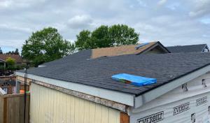 Exterior Motive