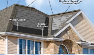 Lion Roofing & Exteriors