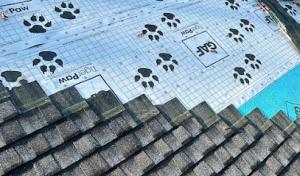 SW Roofing Of Huntington