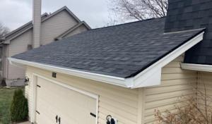 Green Factor Roofing