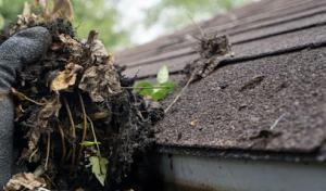 Triton Roofing & Commercial Waterproofing