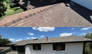 Specialty Roof Repairs