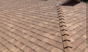 Best Roofer Solar