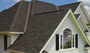 New Era Roofs
