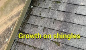Litespeed Construction - Asheville Roofing Contractor