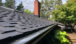 Reliance Roof Pros