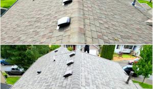 Ruiz Roofing