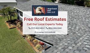 American Roof Pros