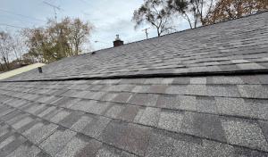 Vertex Roofing
