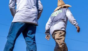 Preferred Roofing
