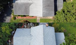 Moose Exteriors