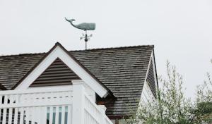 City Roofing & Maintenance