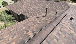 Pink Roofers