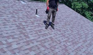 That Roof Dude