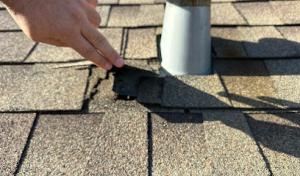 Honey Bees Roofing