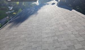 Modern Exterior Roofing