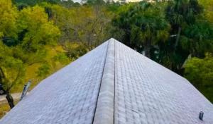Heart Roofing