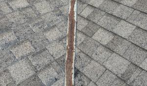 Raptor Roofing