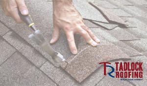 Tadlock Roofing