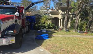 Harbor Roofing