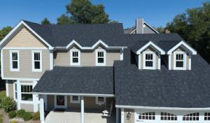 Davis Roofing