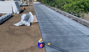 Talon Roofing