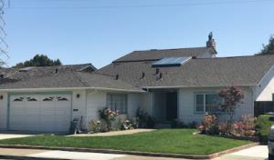 Alpha Roofing