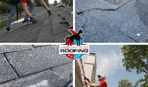 Mighty Dog Roofing of Benton Harbor