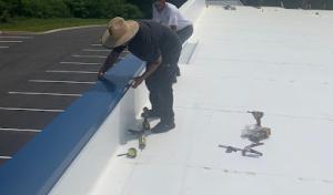 Palmetto Roofers